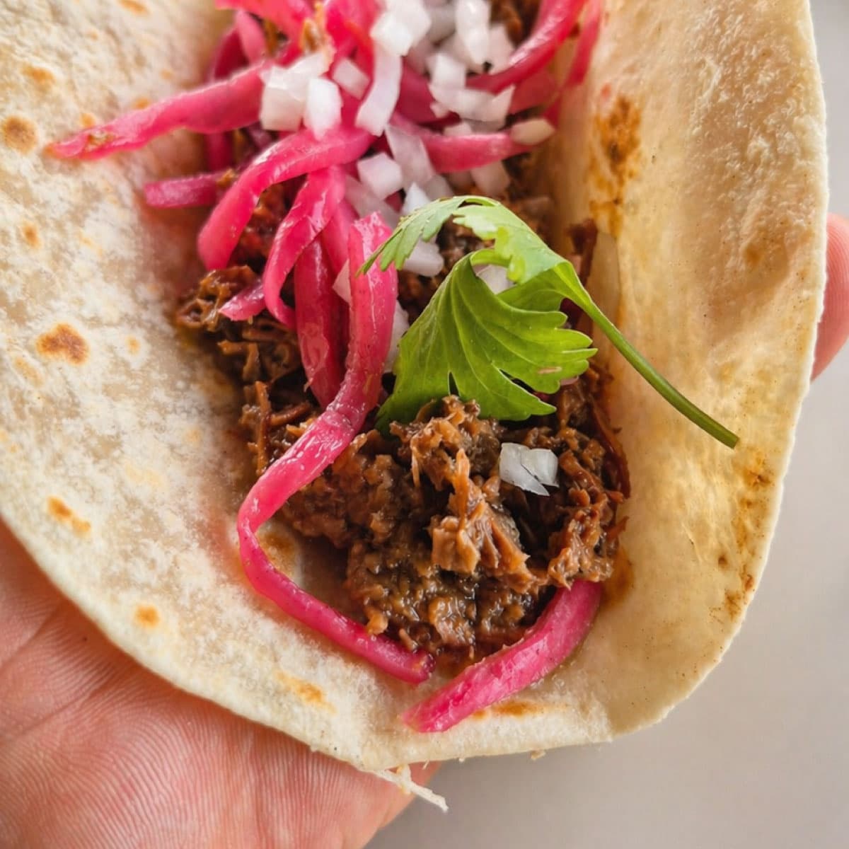 Taco de barbacoa con cebolla y cilantro